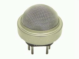 Hydrogen Sulfide Sensor 