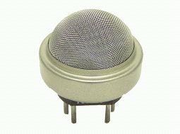 Hydrogen Sulfide Sensor 